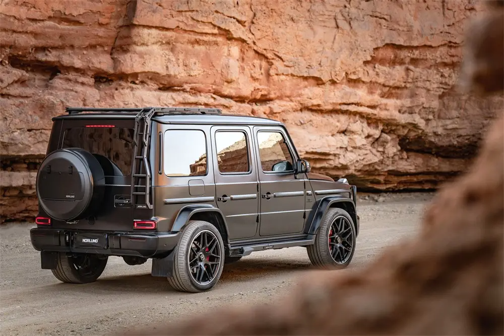 NORLUND G Wagon Roof Rack With Ladder